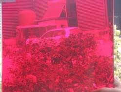 彩色玻璃