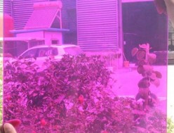 彩色玻璃